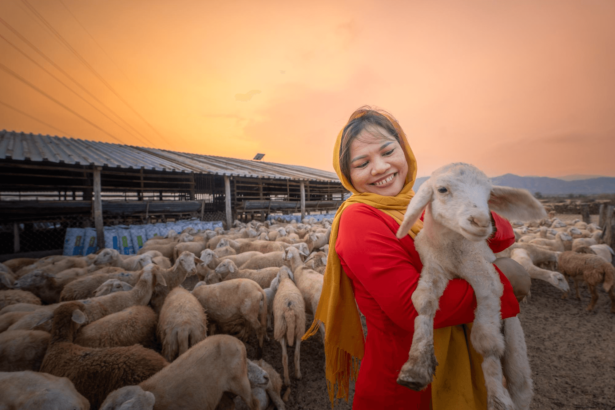 Farmer smiling while holding a fluffy lamb in a green pasture